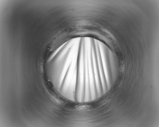 X0000068270452200605121850