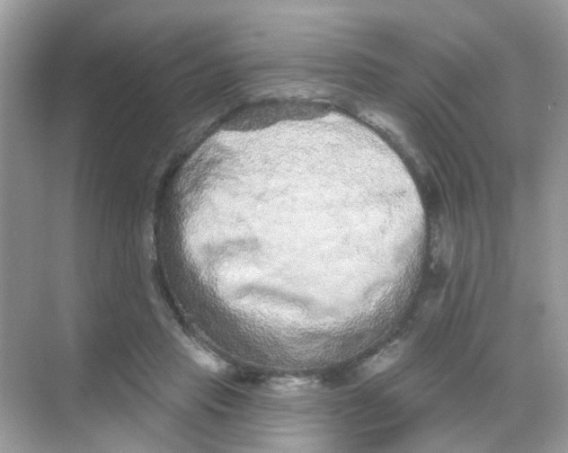 X0000068270453200605121850