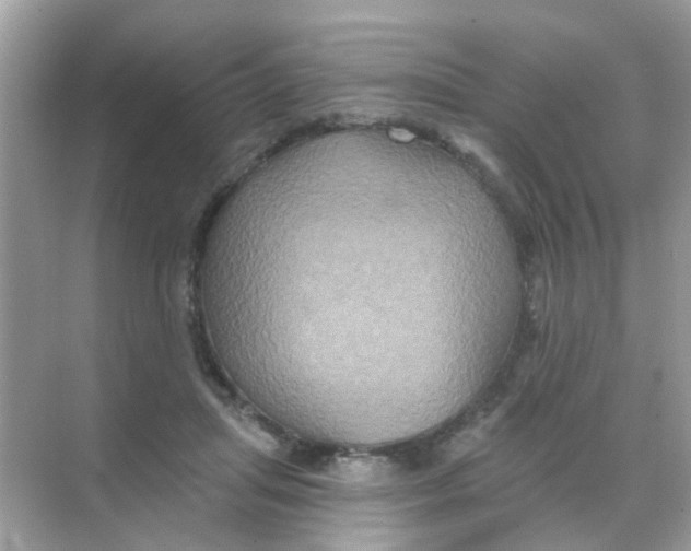 X0000068270455200605121850