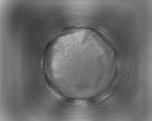 X0000068270458200605121850