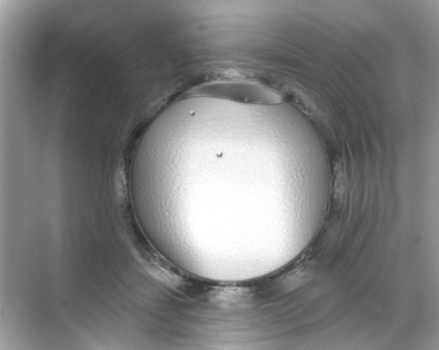 X0000068270459200605121850