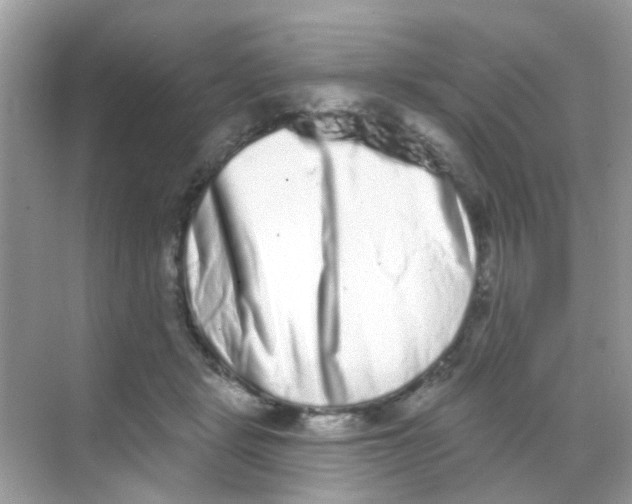 X0000068270461200605121850