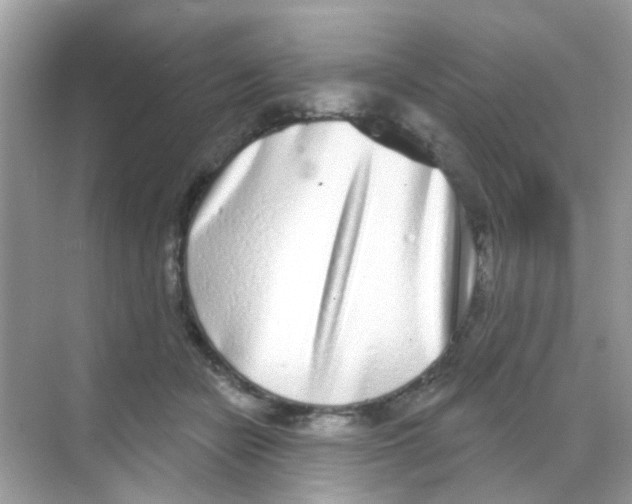 X0000068270462200605121850