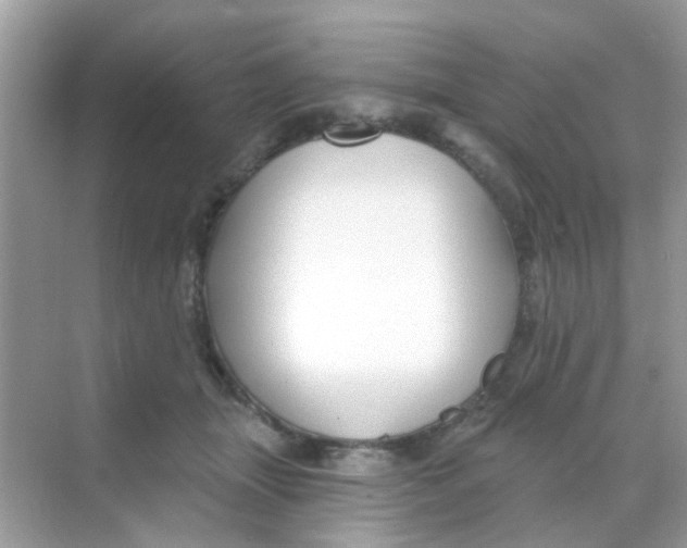 X0000068270463200605121850