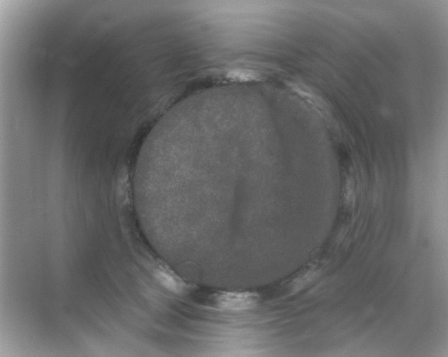 X0000068270465200605121850