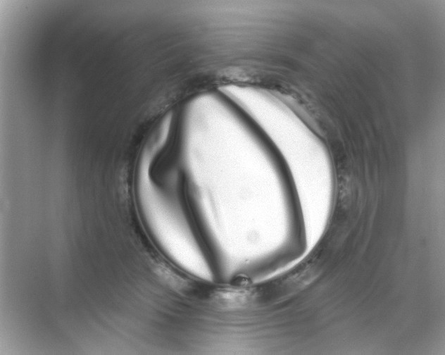 X0000068270466200605121850