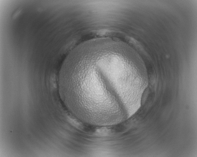 X0000068270470200605121850