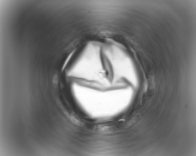 X0000068270472200605121851