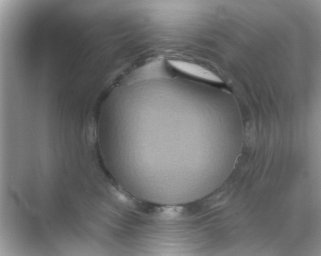 X0000068270474200605121851