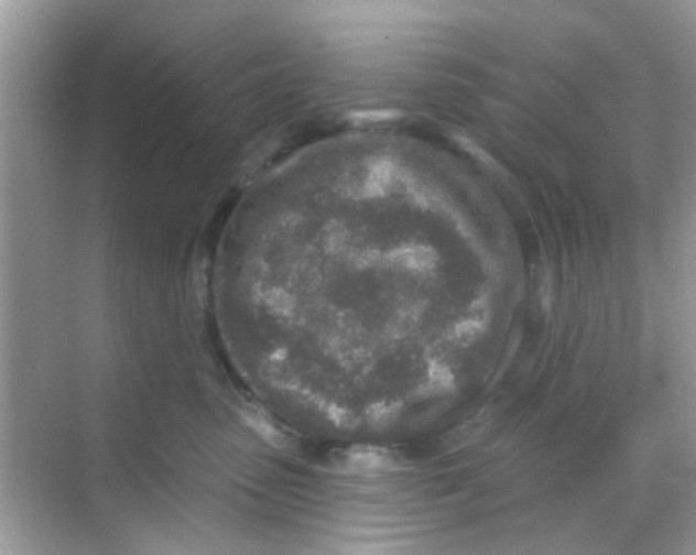 X0000068270475200605121851