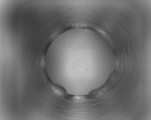 X0000068270477200605121851