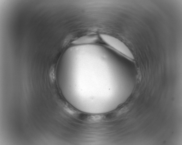 X0000068270479200605121851