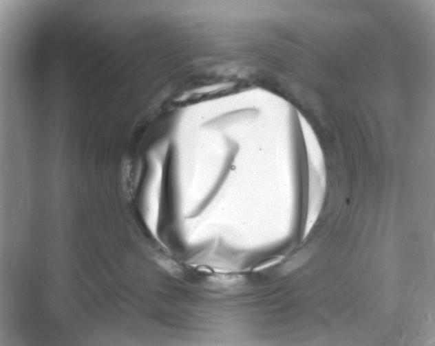 X0000068270480200605121851