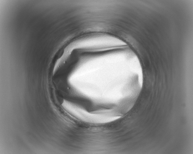 X0000068270482200605121850