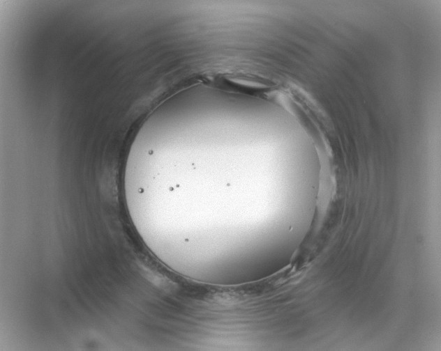 X0000068270489200605121850