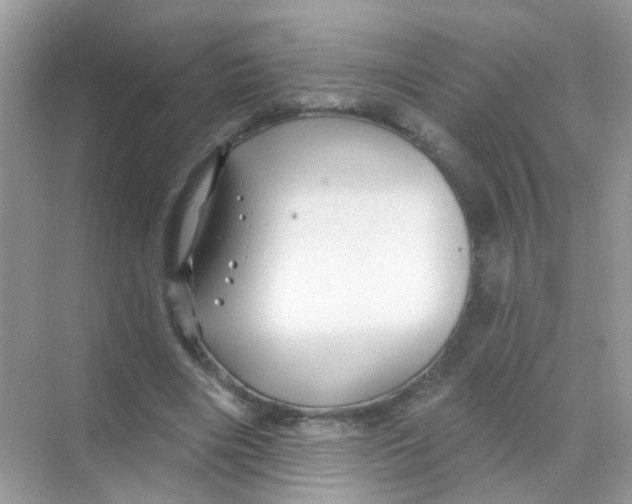 X0000068270490200605121850