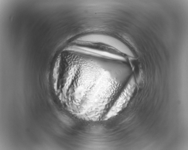 X0000068270491200605121850