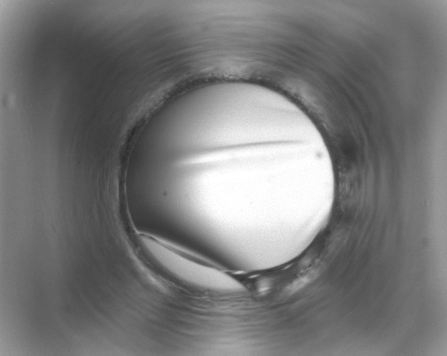 X0000068270493200605121850