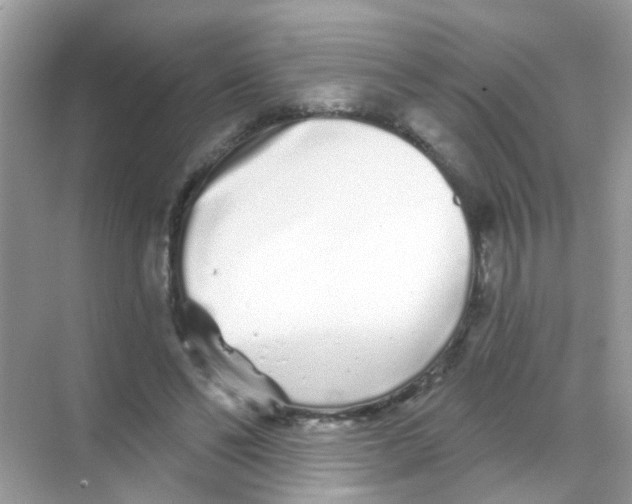 X0000068270494200605121850