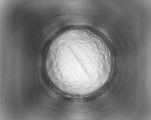 X0000068270495200605121850