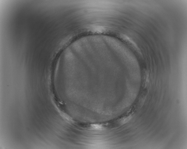 X0000068270496200605121850