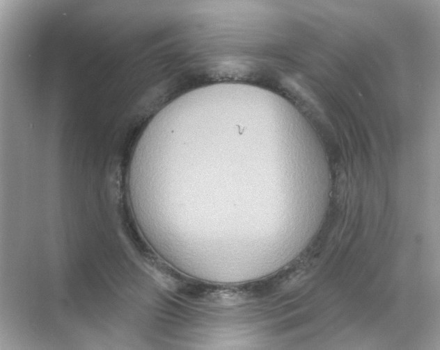 X0000068270498200605121850