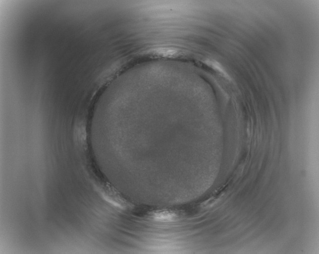 X0000068270500200605121850