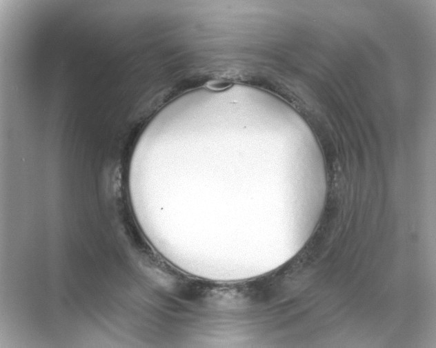 X0000068270502200605121850