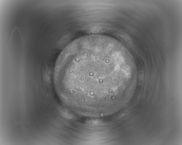 X0000068270503200605121849