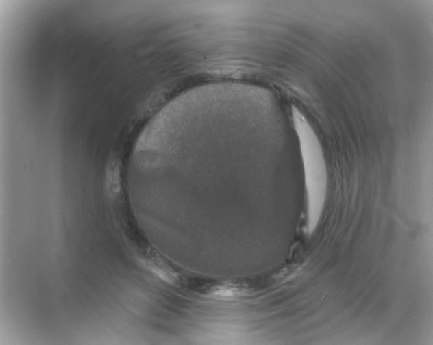 X0000068270504200605121849