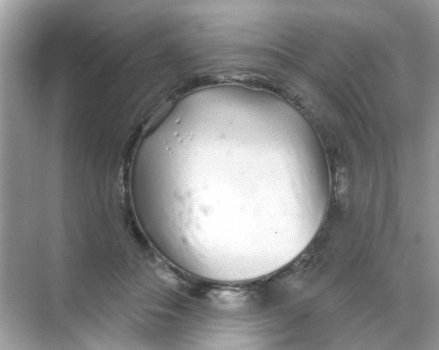 X0000068270506200605121849