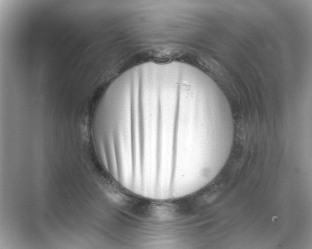 X0000068270510200605121849