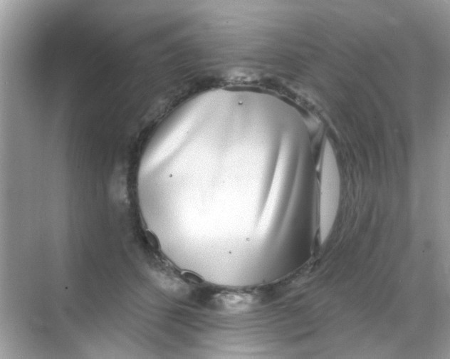 X0000068270512200605121849