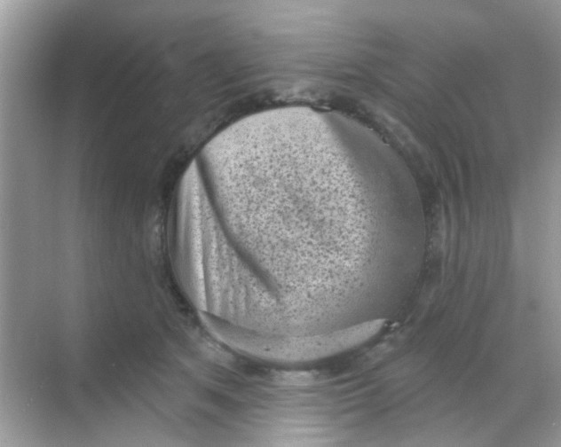 X0000068270513200605121849