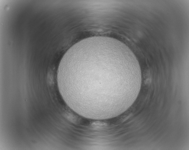 X0000068270515200605121849