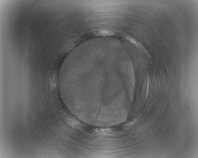 X0000068270517200605121849