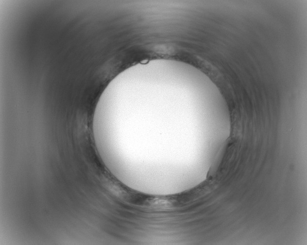 X0000068270518200605121849