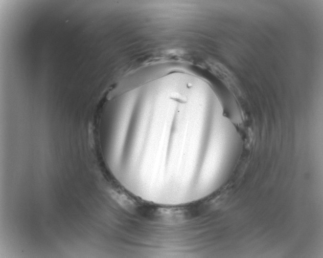 X0000068270520200605121849