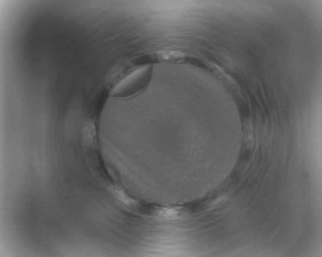 X0000068270523200605121849