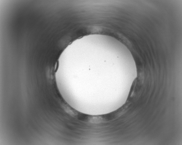 X0000068270525200605121849