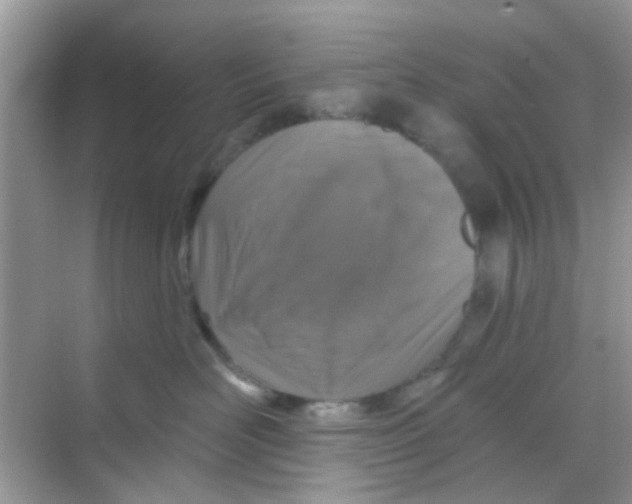 X0000068270526200605121849