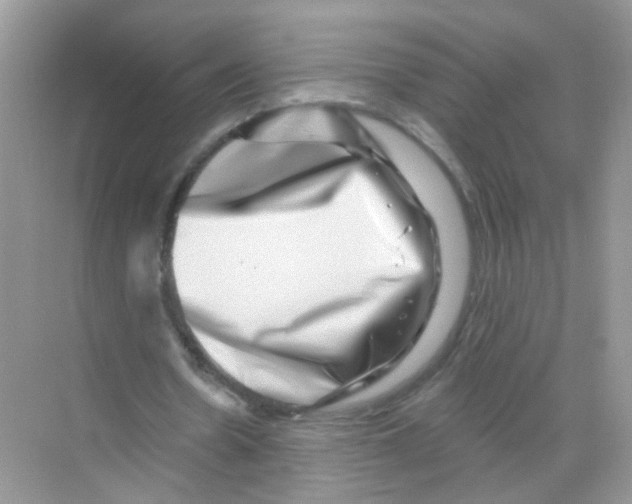 X0000068270530200605121848