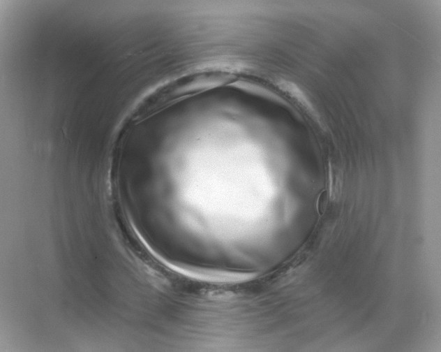 X0000068270531200605121848