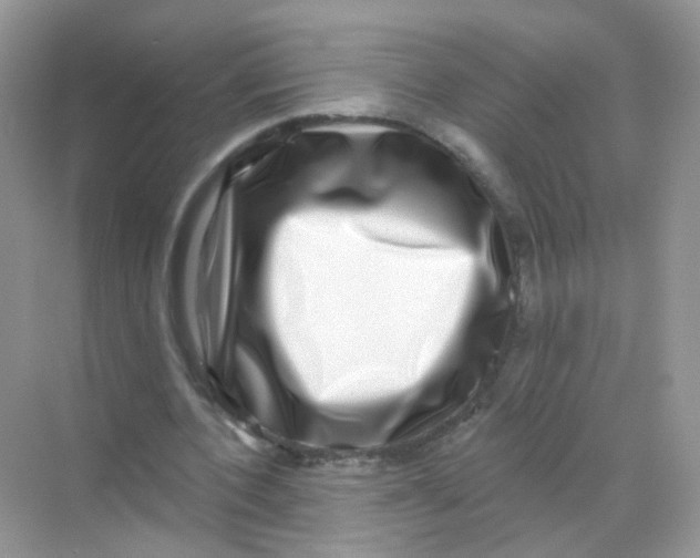 X0000068270532200605121848