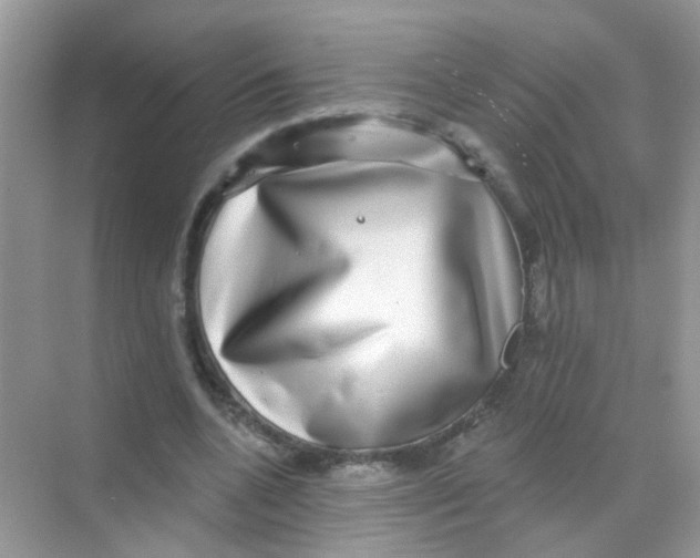 X0000068270536200605121848