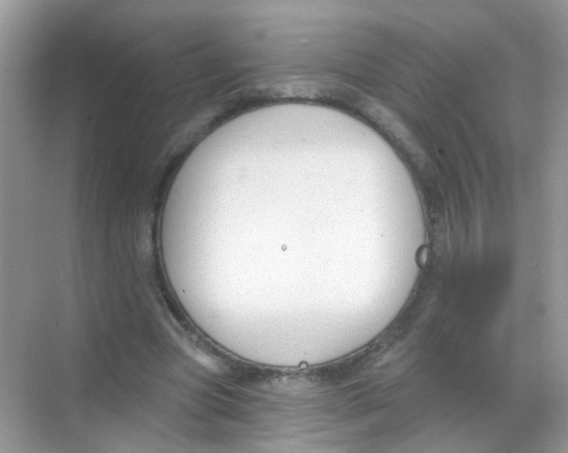 X0000068270537200605121848