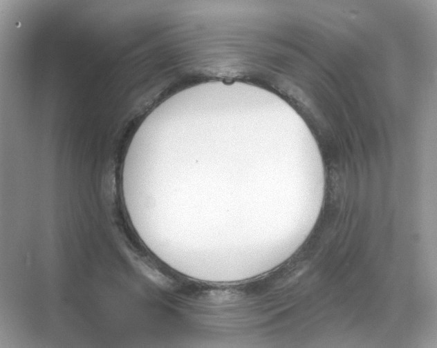 X0000068270541200605121848