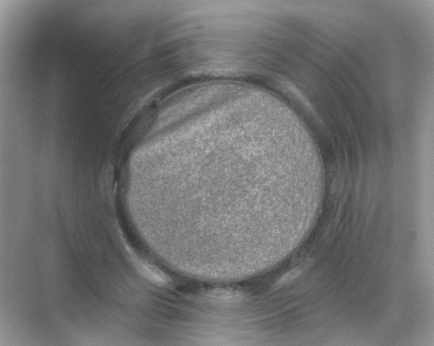 X0000068270542200605121848