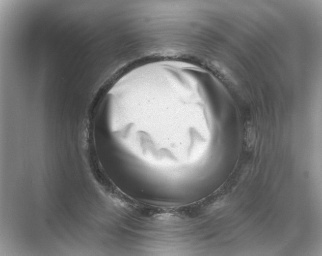 X0000068270544200605121849