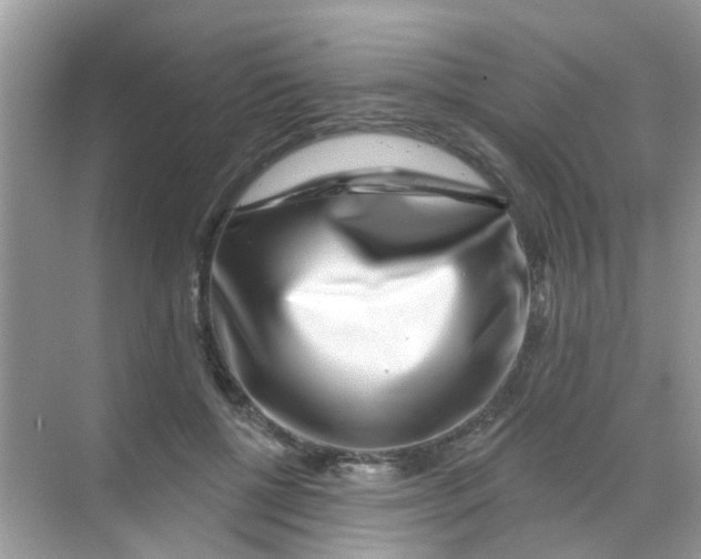 X0000068270552200605121849